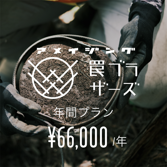 アメイジング 罠ブラザーズ(年間プラン)