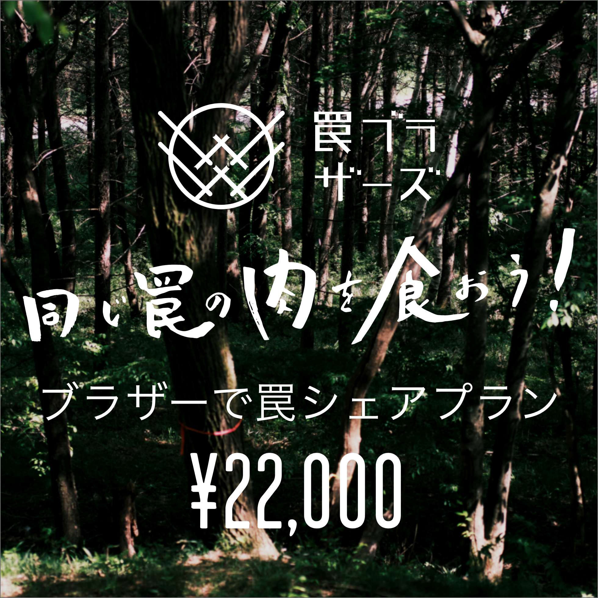 2023-a-1_1.png?v=1720024034